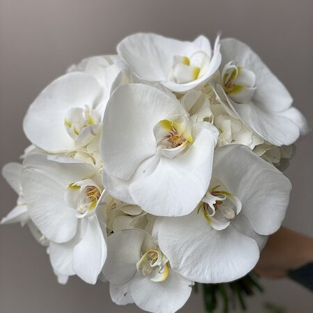 Букет невесты из белых орхидей с гортензией и эустомой art. 05-147