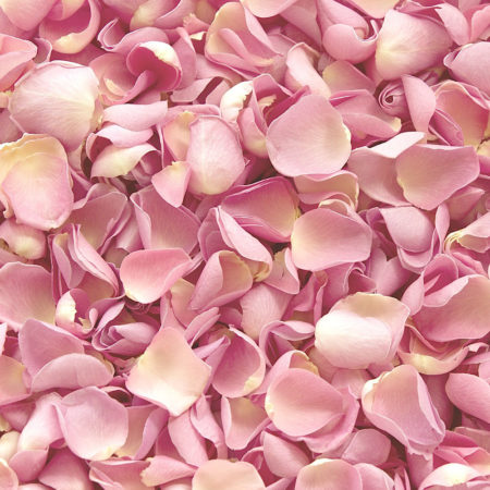 Лепестки роз art. 05-350