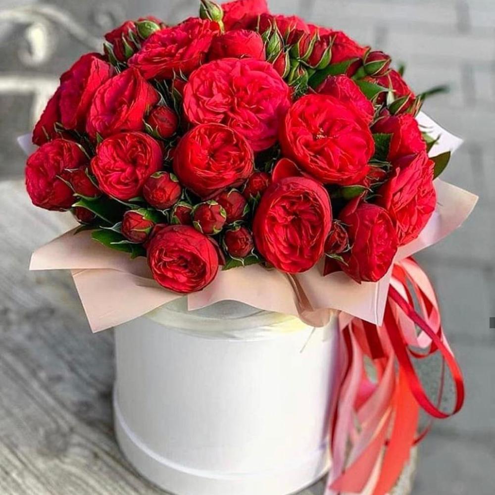 Купить розы в коробке с Днем рождения с доставкой по Москве - витамин-п-байкальский.рф