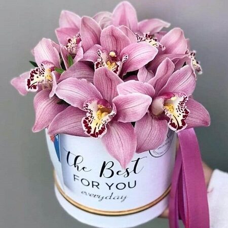 Букет из орхидей в шляпной коробке art. 13-113